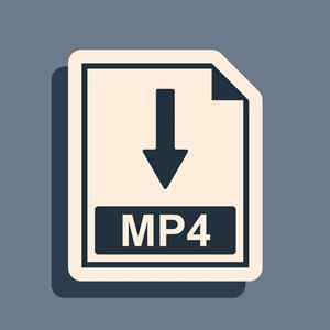 mp4-video-file-25.jpg